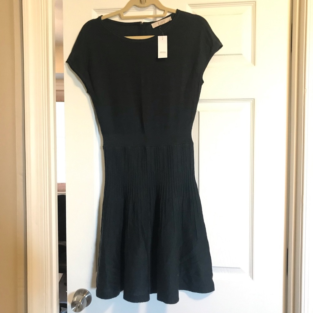 Blue/green short sleeved sweater dress!